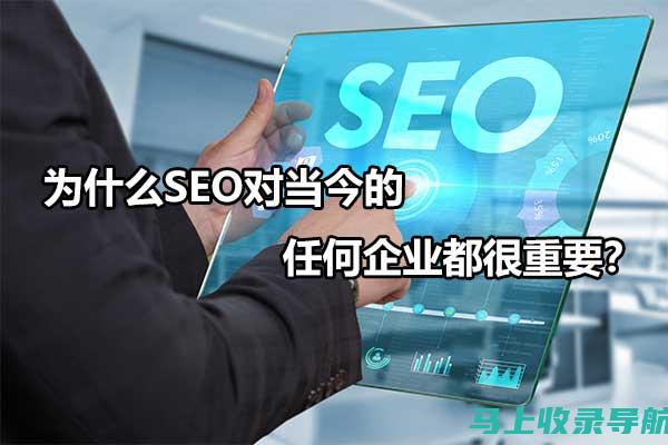 SEO职业深度解析：策略、技术与实践的完美结合